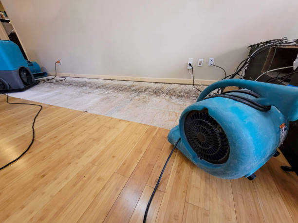 Professional Water Removal technician working in Ocean View, HI